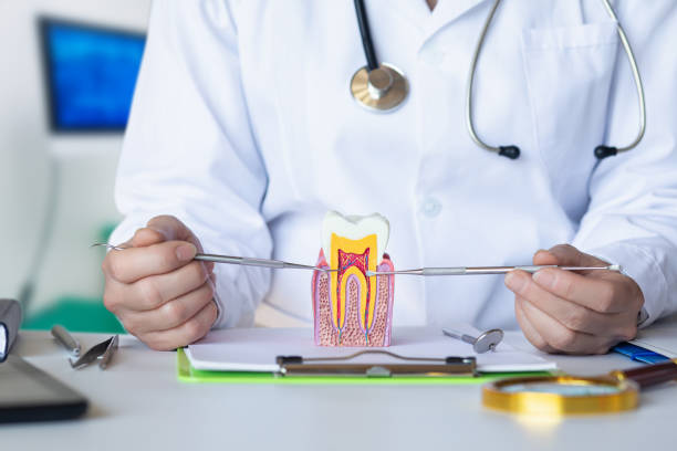 Best Emergency Orthodontic Repairs in Bells, TX